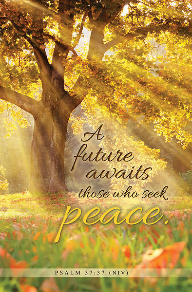 Picture of A Future Awaits Peace Bulletin