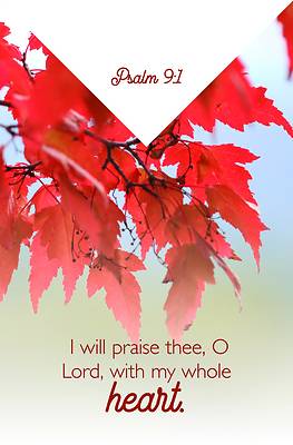 Picture of O Lord Bulletin (Pkg 100) General Worship
