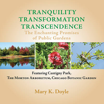 Picture of Tranquility Transformation Transcendence