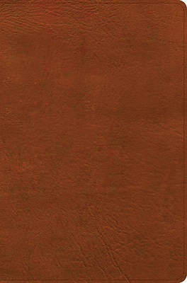Picture of CSB Giant Print Reference Bible, Digital Study Edition, Burnt Sienna Leathertouch, Indexed