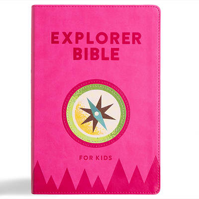 Picture of KJV Explorer Bible for Kids, Bubble Gum Leathertouch, Indexed
