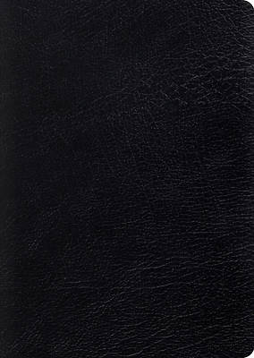 Picture of ESV Study Bible, Large Print (Black)
