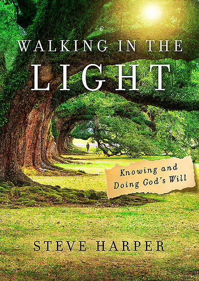 Picture of Walking in the Light