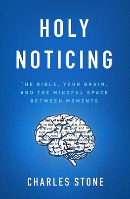 Picture of Holy Noticing