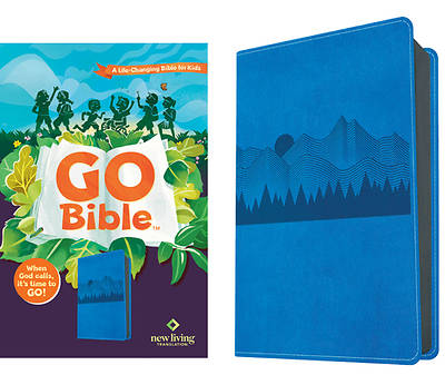 Picture of Go Bible