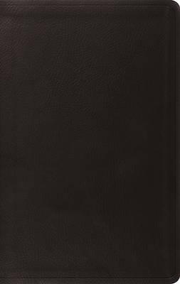 Picture of Value Thinline Bible-ESV