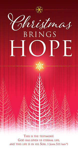 Picture of Christmas Brings Hope Offering Envelope 1 John 5:11 NIV