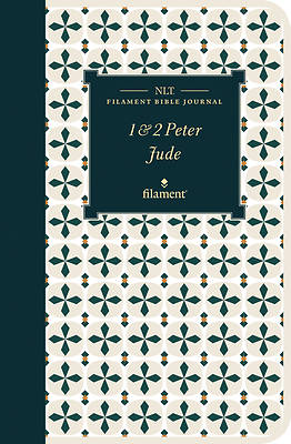 Picture of NLT Filament Bible Journal