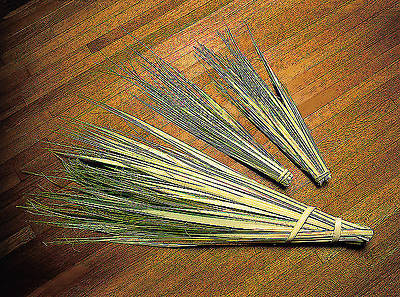 Picture of 24 Inch Palm Strips - Pack of 100