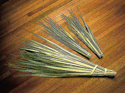Picture of 13 Inch Palm Strips - Pack of 100