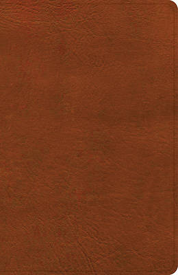Picture of CSB Large Print Personal Size Reference Bible, Digital Study Edition, Burnt Sienna Leathertouch, Indexed