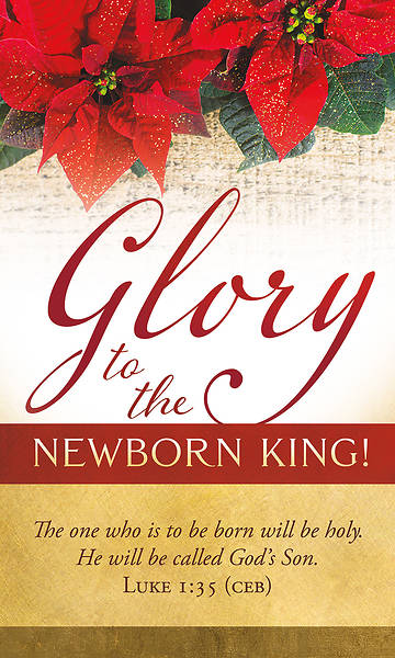Picture of Banner Glory to the Newborn King Christmas 3 x 5 Vinyl