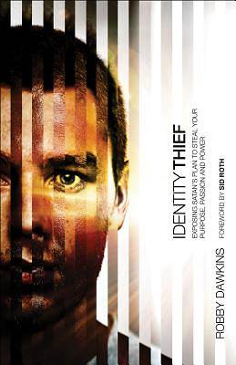 Picture of Identity Thief
