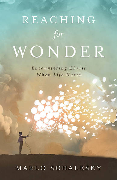 Picture of Reaching for Wonder