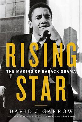 Picture of Rising Star