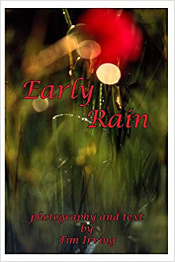 Picture of Early Rain (Early Rain Series)