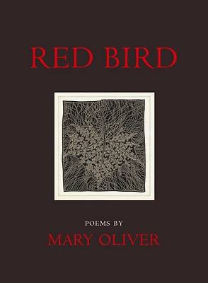 Picture of Red Bird