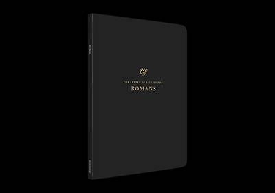 Picture of ESV Scripture Journal