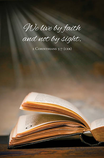 Picture of Word Alive Weekly Bulletin without Message-Week 24, Regular Size (Package of 25)