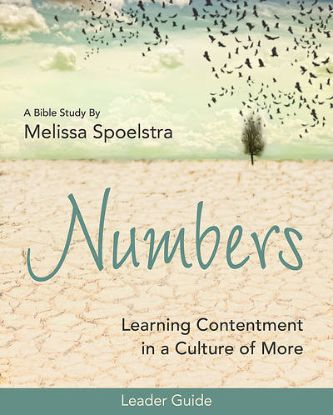 Picture of Numbers Women's Bible Study Leader Guide