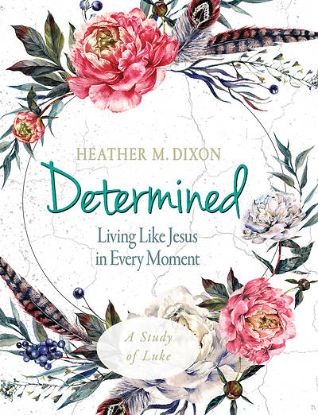 Picture of Determined Women's Bible Study Participant Workbook