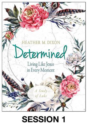 Picture of Determined Women's Bible Study Session Video