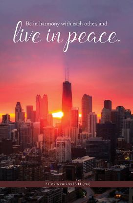 Picture of Word Alive! Weekly Bulletin with Message-Week 22, Letter Size (Package of 25)