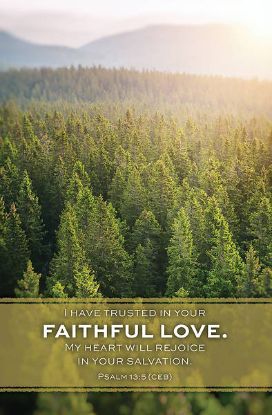 Picture of Word Alive! Weekly Bulletin without Message-Week 26, Letter Size (Package of 25)