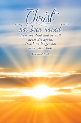 Picture of EXTRA Word Alive! Weekly Bulletin without Message-Father's Day, Letter Size (Package of 25)