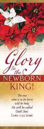 Picture of Banner Glory to the Newborn King Christmas 2 x 6 Fabric