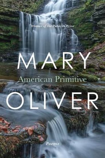 Picture of American Primitive