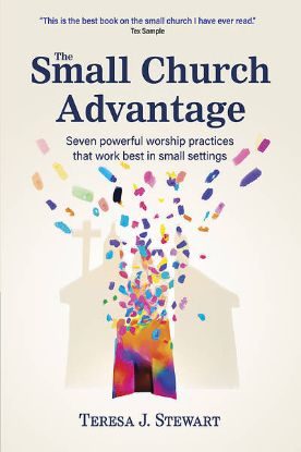 Picture of The Small Church Advantage