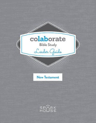Picture of Colaborate Bible Study Leader Guide New Testament