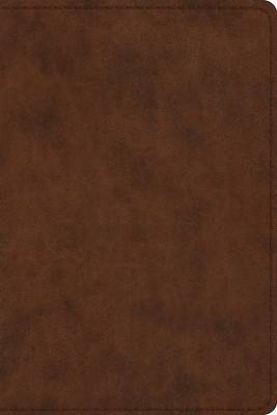 Picture of ESV Study Bible, Personal Size (Trutone, Brown)