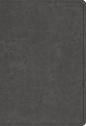 Picture of ESV Student Study Bible (Trutone, Gray)