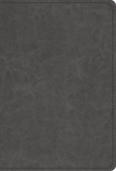 Picture of ESV Student Study Bible (Trutone, Gray)