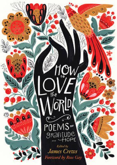 Picture of How to Love the World