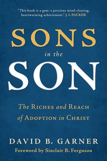 Picture of Sons in the Son