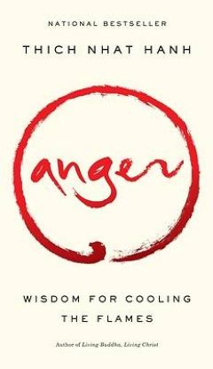 Picture of Anger