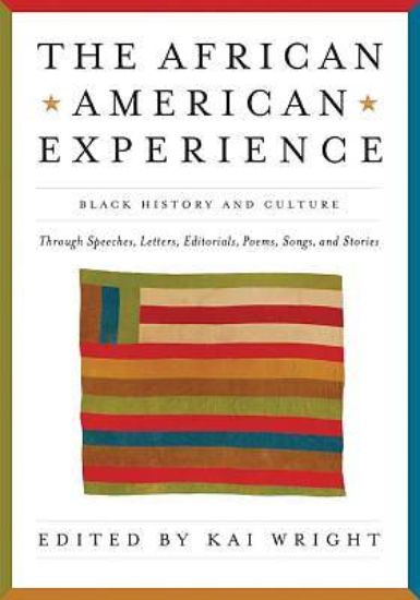 Picture of The African American Experience