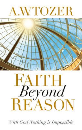 Picture of Faith Beyond Reason