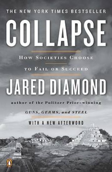 Picture of Collapse