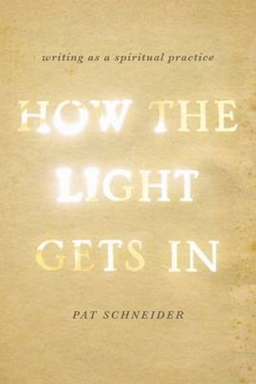 Picture of How the Light Gets in