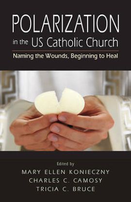 Picture of Polarization in the Us Catholic Church