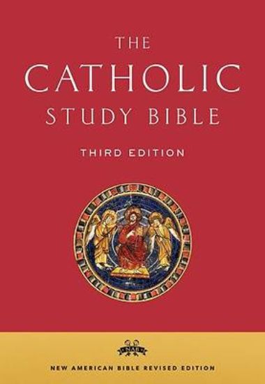 Picture of Catholic Study Bible-Nab