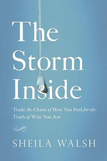 Picture of The Storm Inside