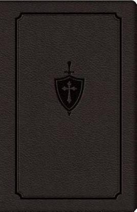 Picture of Manual for Conquering Deadly Sin