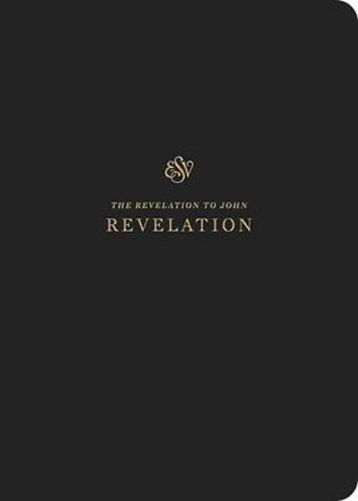 Picture of ESV Scripture Journal