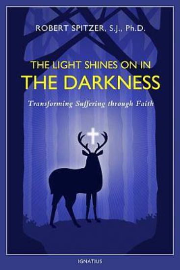 Picture of The Light Shines on in the Darkness