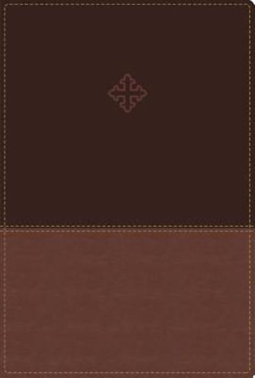 Picture of Amplified Study Bible, Imitation Leather, Brown, Indexed